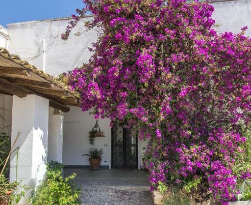 Masseria Bellamarina