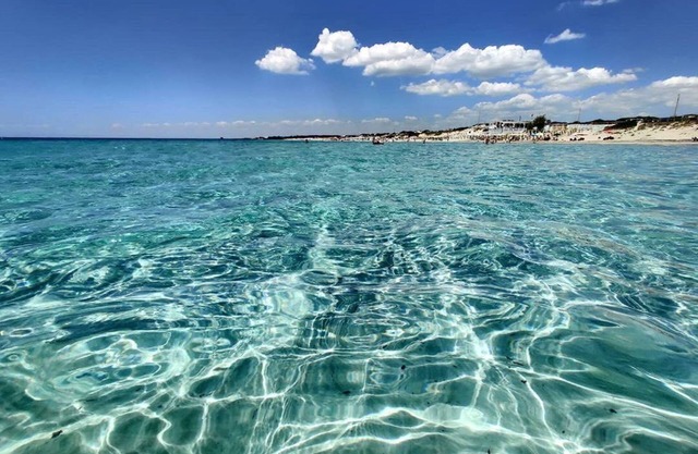 Masseria Belvedere