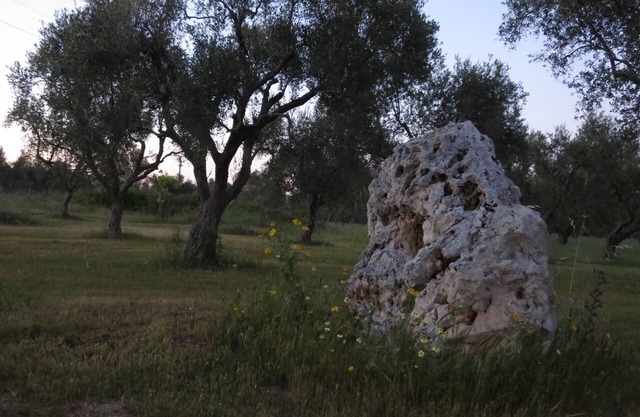 Masseria Mauriani 1623 - Entire structure