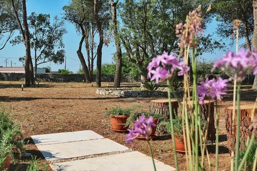 Masseria San Nicola dei Baroni di Castiglione