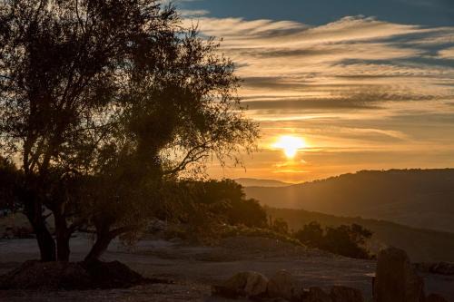 Masseria Straziuso - La Vaccariccia