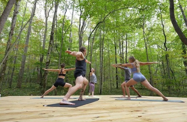 Master Sculptor's Art Lodge Retreat-Hocking Hills