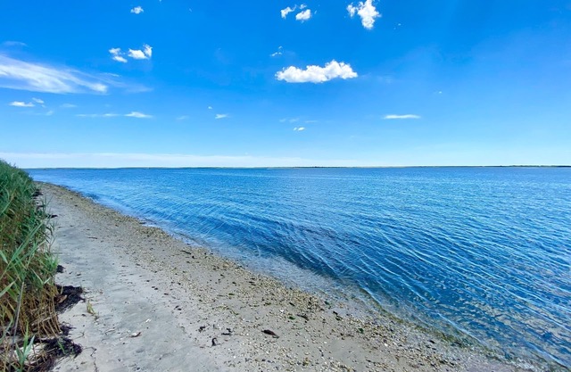Mastic Beach Surf House