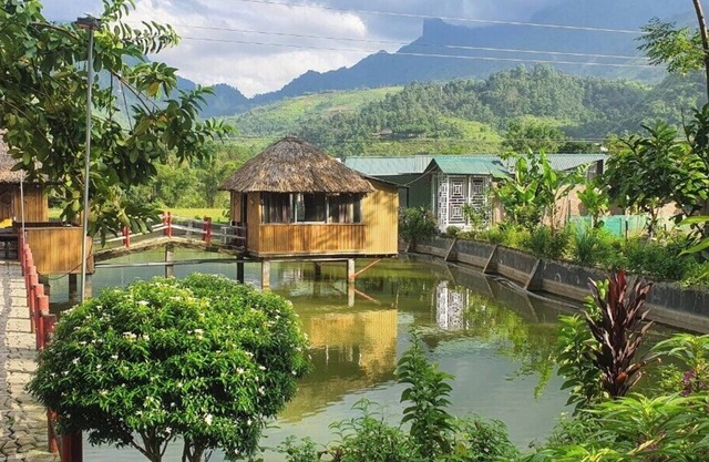 Max Fun Homestay Du Gia