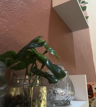 Mayyah Guest House