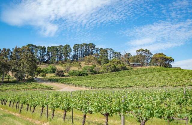 McLaren Vale Getaways - Hillside House
