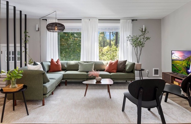 MCM Dream Entire Home