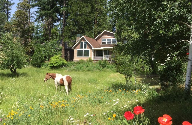 Meadow House near Crater Lake South entrance, upper Rogue River, 100 acre trails