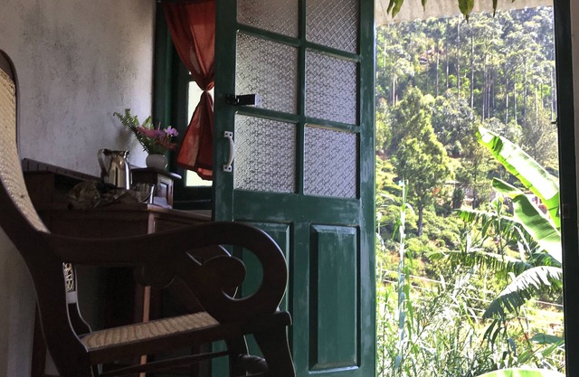 Meena Amma's Tea Experience