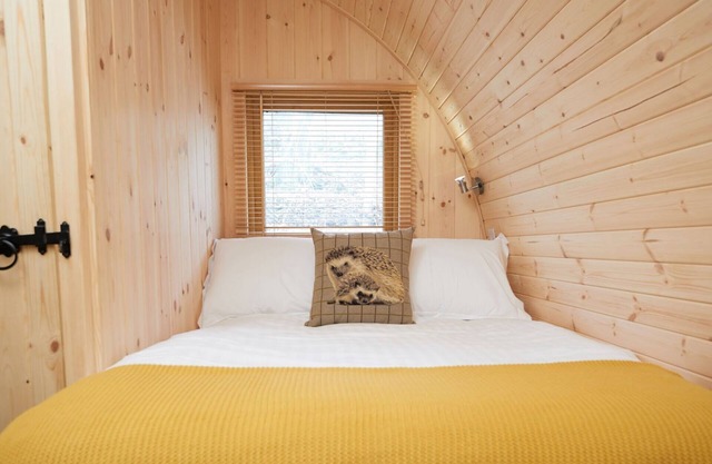 mega pod 1 - a mega pod that sleeps 4 guests in 1 bedroom