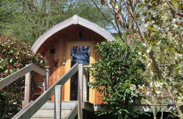 mega pod 2 - a mega pod that sleeps 4 guests in 1 bedroom