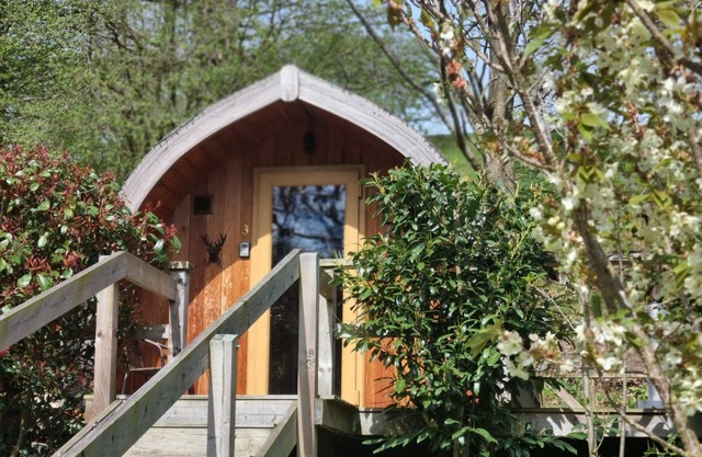 mega pod 5 - a mega pod that sleeps 4 guests in 1 bedroom