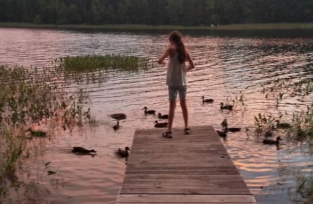 Memories Made Here -Maine Loon House-AcadiaNP/Downeast-Lakefront-WiFi/TVs-Kayaks