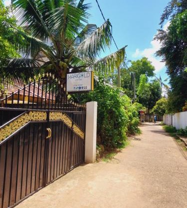 Merigold House Mirissa