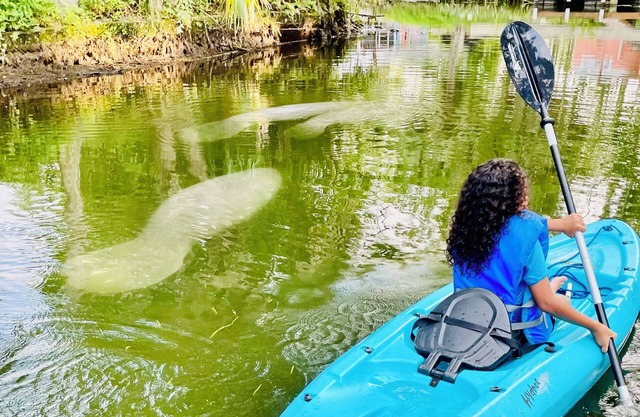 MERMAID TAILS-Family Friendly-CLEAR KAYAK-EARLY CHECK-IN & LATE CHECKOUT AVAIL!
