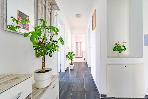 Merve Comfort Aparts2-Hannover