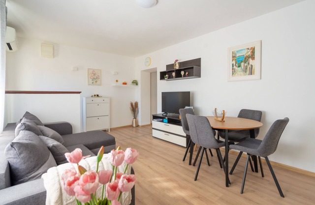 MIA cozy apartment in the Knin center