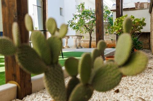 Mialma Bed and Breakfast