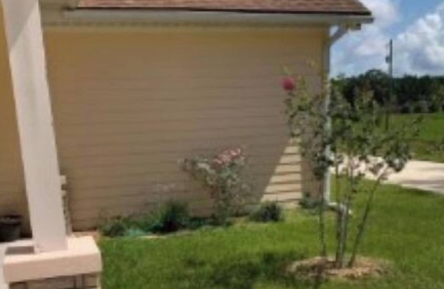 Micanopy Dream Home