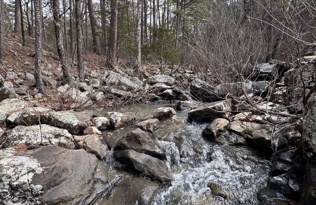 Midnight Ride conveniently located to the trails. New Construction new listing