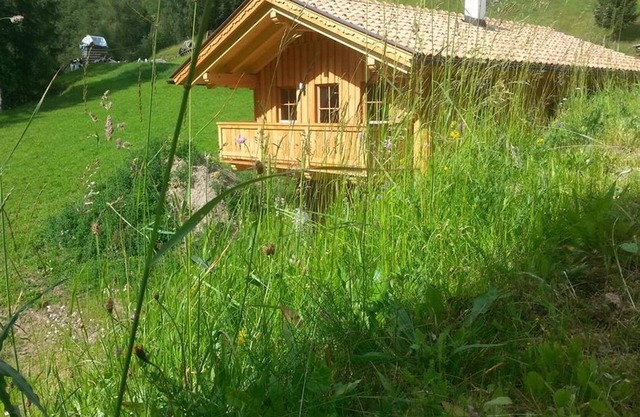 Miehl - Hut, Austria