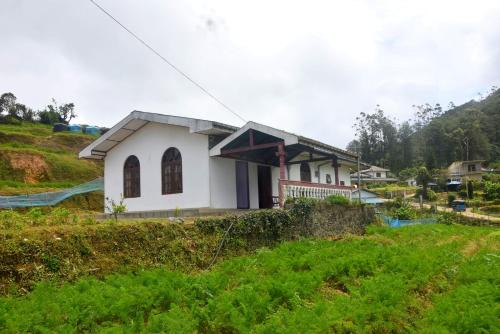 Mihidum Sihina Guest