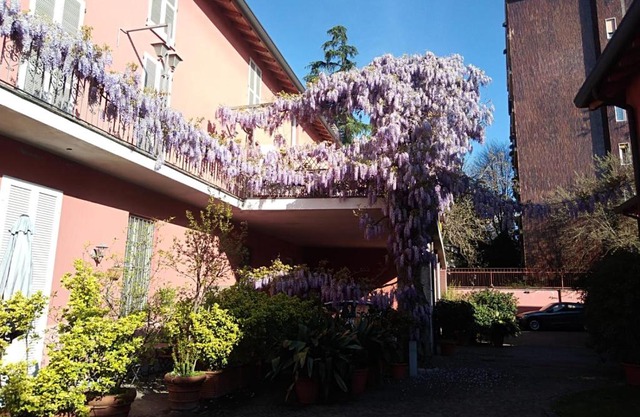 Milano in Voga