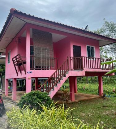 Mimi Home 2