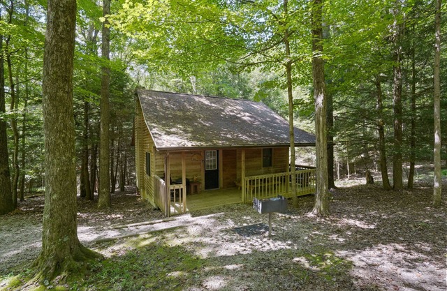 Mingo Cabin at Big Pine Retreat