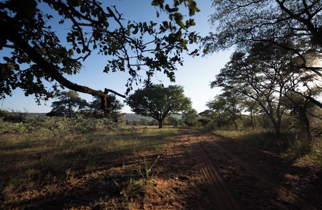 Mmakuba Private Game Lodge, Two Bedroom Villa 2