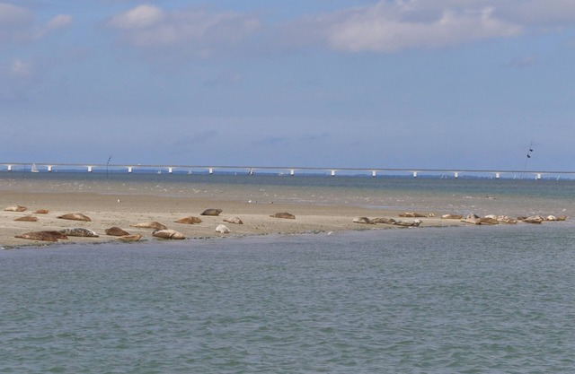 Mobile Home at the North Sea shore (Fully Booked)