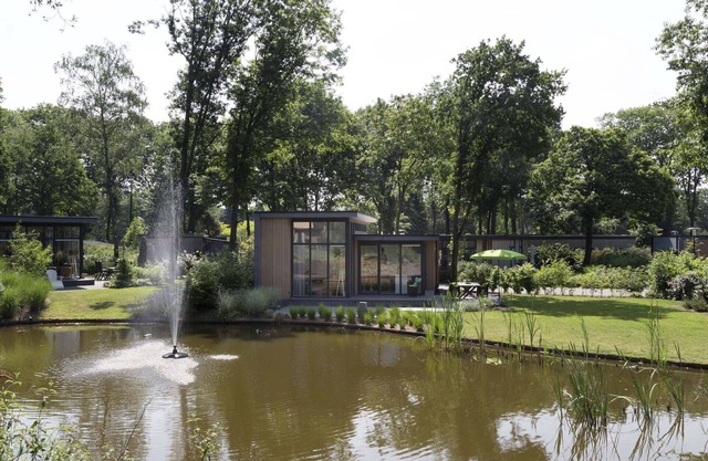 Modern chalet close to De Veluwe