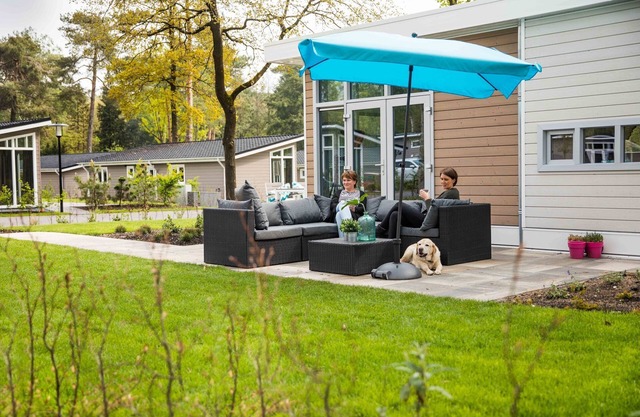 Modern chalet in Park De Veluwe