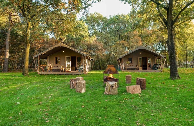Modern chalet with dishwasher on a holiday park
