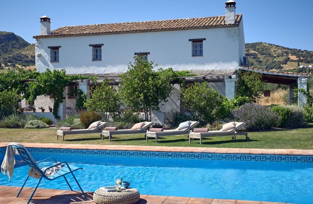 Modern interior, private villa with pool, Ronda 5km, organic olive grove.