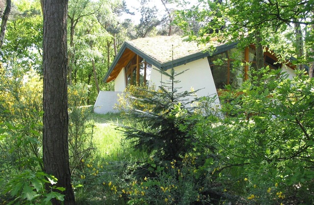 Modern Lakeside Escape