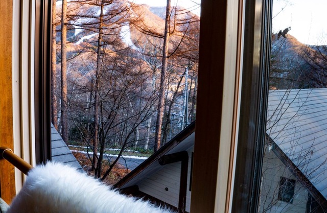 Modern Mountain Apartment 101 /Kamiminochi-gun Nagano