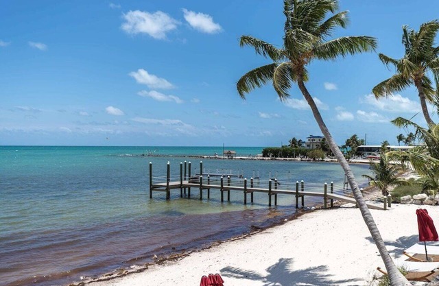 Modern Oceanview Paradise at Islamorada