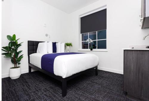 Modern Studio in Historic Boston - Unit #101