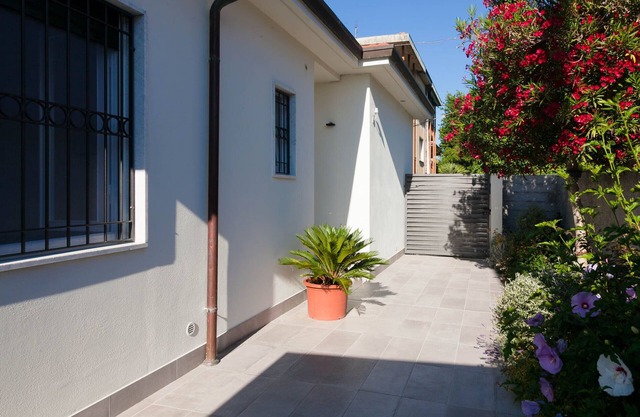 Modern style house
