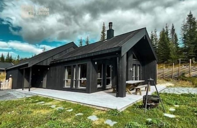 Modern unique cabin/fantastic location/Skeikampen