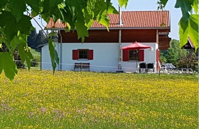 Modern vacation home in a beautiful location on the edge of Lechsee near Füssen, fireplace, gallery