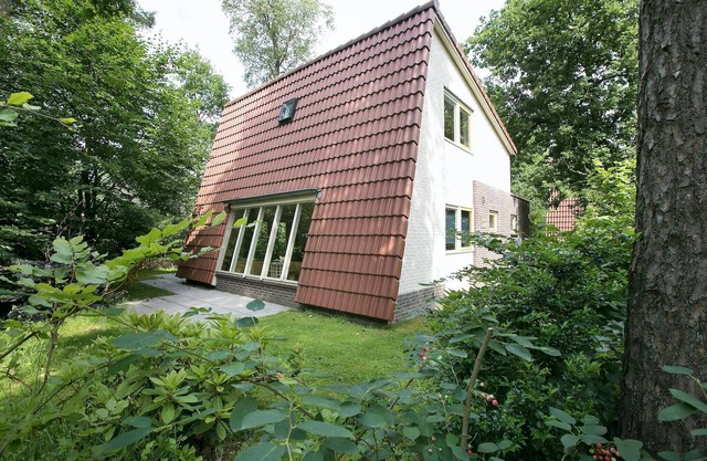 Modern Villa Near Veluwe