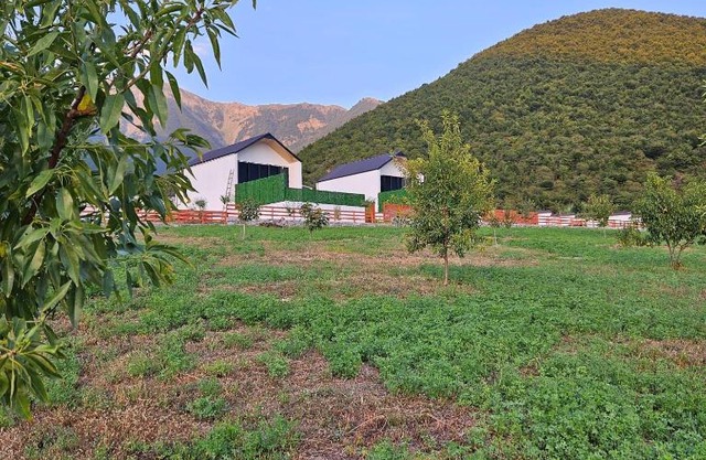 ModernVillageSheki House