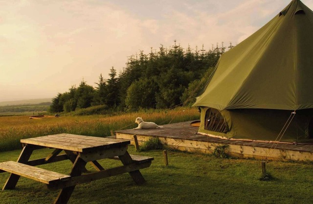 Moleshill Retreat Wild Spa and Glamping space