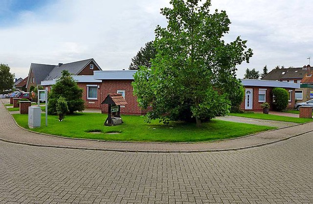 Mondmuschel