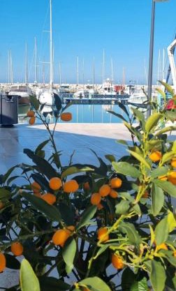 Monolocale in vicolo storico Gin Tonic Lemon