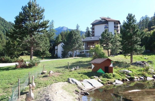 Mont-Fort by Interhome