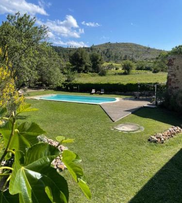 Monte Vinea