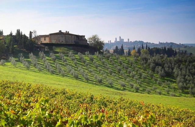 MONTEGONFOLI 1 "THE ONE" Premium Apartment in San Gimignano with terrace & patio